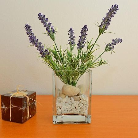 Andjelko Apartment Zadar Ngoại thất bức ảnh